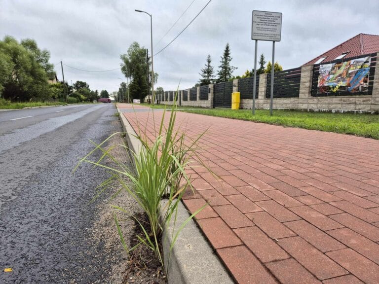 Czy Żółwia Błoć ma już problem z nową drogą?