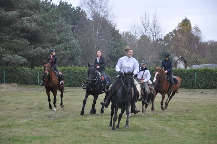 Będzie gonitwa za lisem, stroje retro i mnóstwo pysznych dań. Hubertus 2024 już za tydzień Hubertus 2