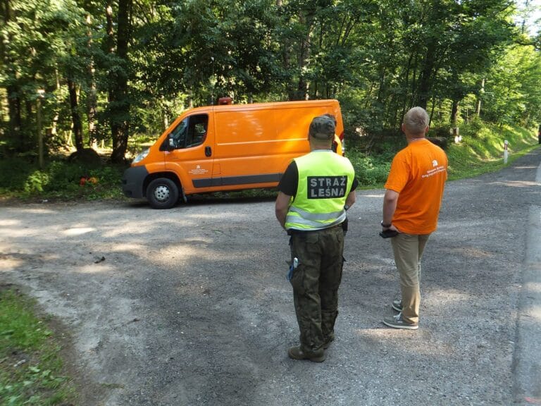 Są grzybiarze, są mandaty – o tym, jak grzybobranie może skończyć się nieoczekiwanymi konsekwencjami