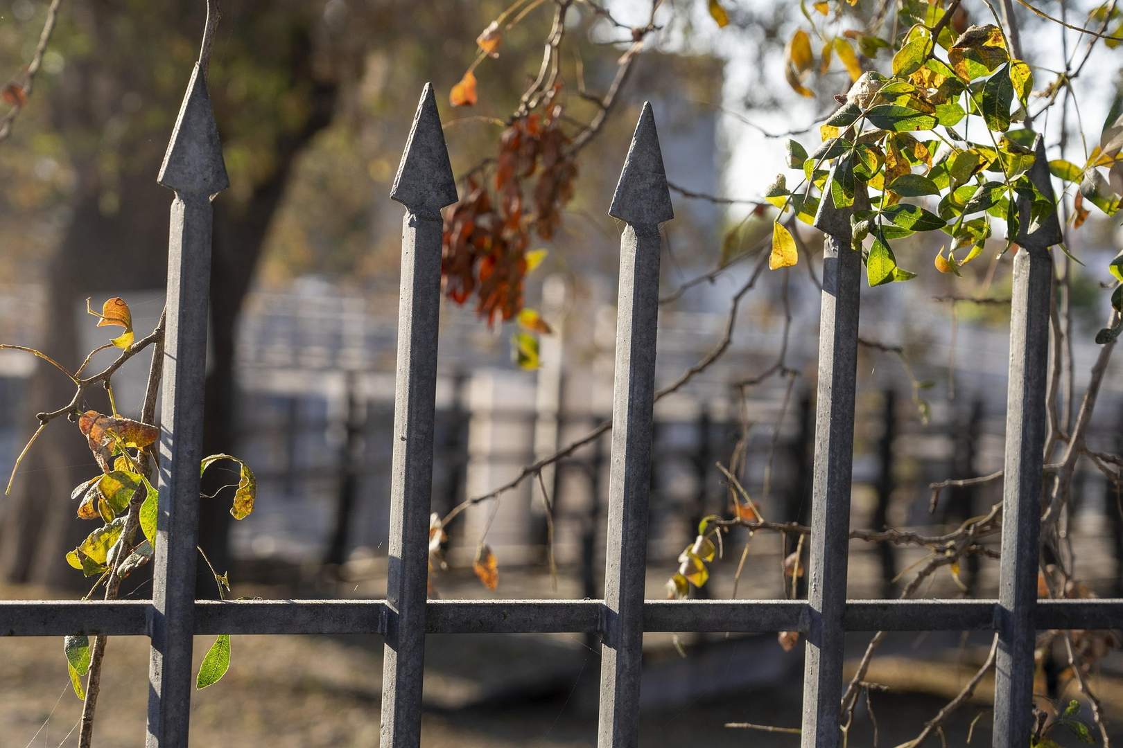 ogrodzenie_goleniow24.info