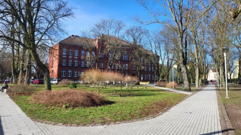 Pedagogiczne „czary-mary” w SP1: zatrudnienie praktycznie na cały etat i tylko dwa dni w szkole? Solidarność mówi: SPRAWDZAM!