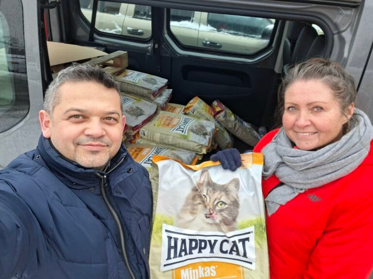500 kilogramów karmy dla kotów wolno żyjących. Gmina realizuje program opieki nad zwierzętami