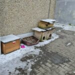 Oświadczenie sieci Kaufland w sprawie kota Bolka z Goleniowa Bolek i jedo dobytek