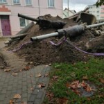 Naturalna selekcja na ul. Puszkina - List do redakcji