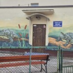 Świetlica w Żółwiej Błoci wygląda przeuroczo