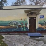 Świetlica w Żółwiej Błoci wygląda przeuroczo