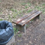 Zalegające śmieci, chwasty oraz brak pielęgnacji zieleni ...