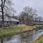 Zalegające śmieci, chwasty oraz brak pielęgnacji zieleni ...